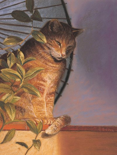 Contemplation by Simon Cook
